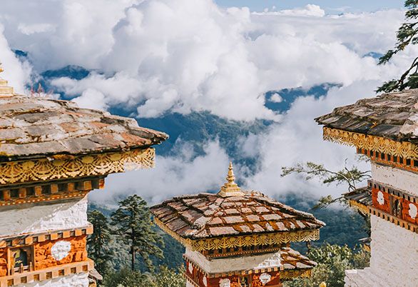 Enchanting Journey: Thimphu to Punakha Excursion