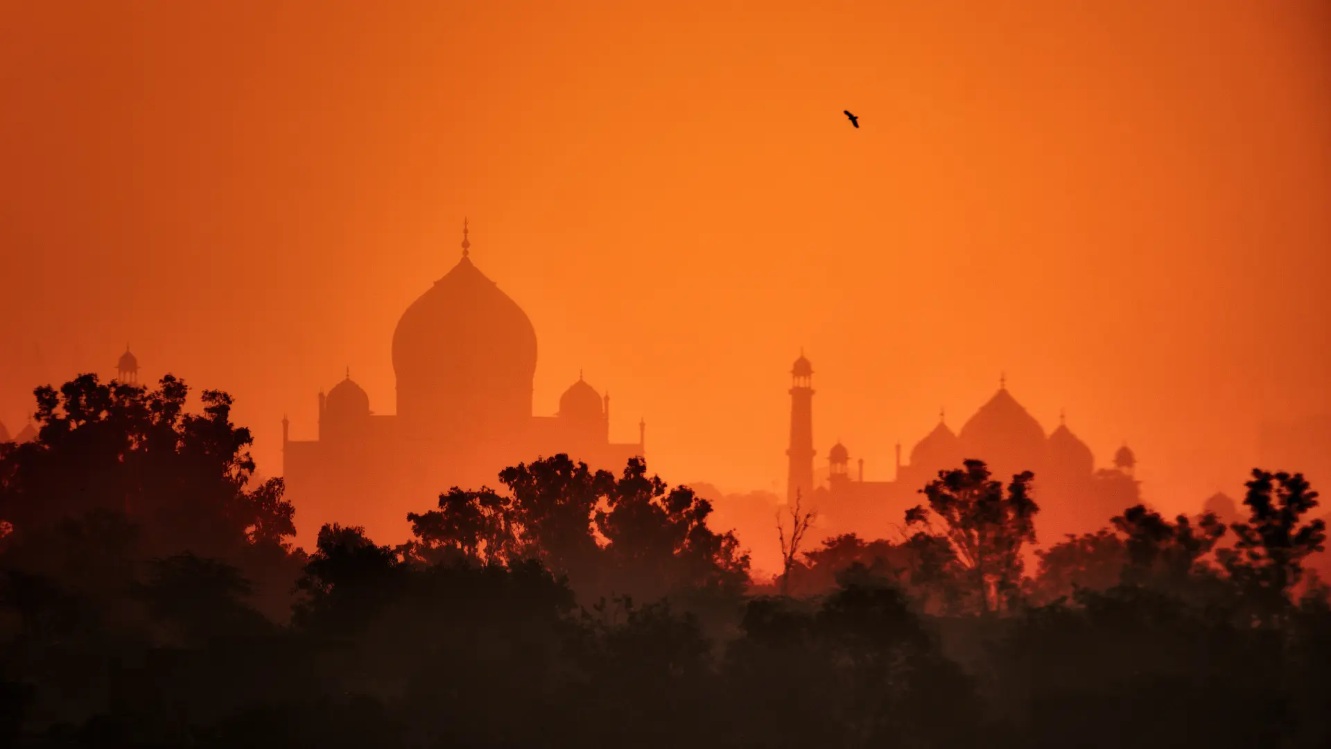 delhi tour package