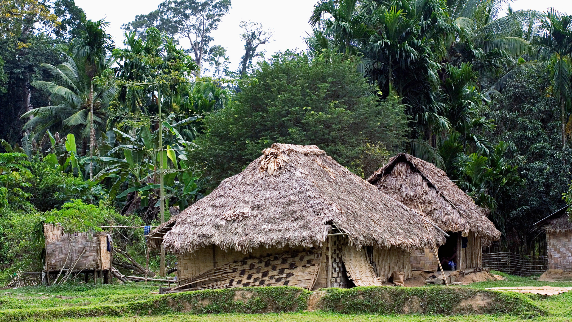 A Journey to Nature's Paradise- Baratang Island