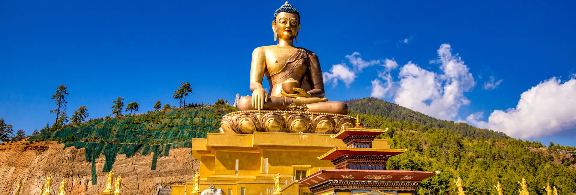 Journey through Bhutan: A Fusion of Nature and Culture