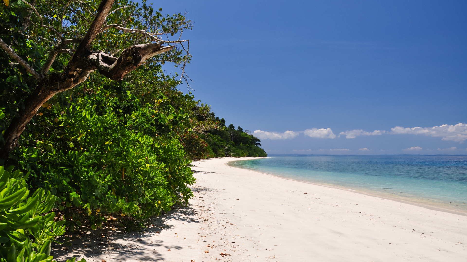 Unveiling the Underwater World at Elephant Beach