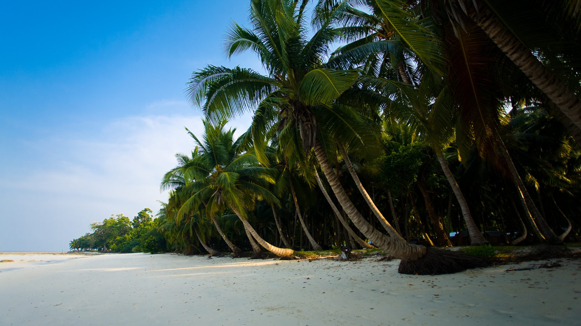 Escape to Havelock Island's Pristine Shores