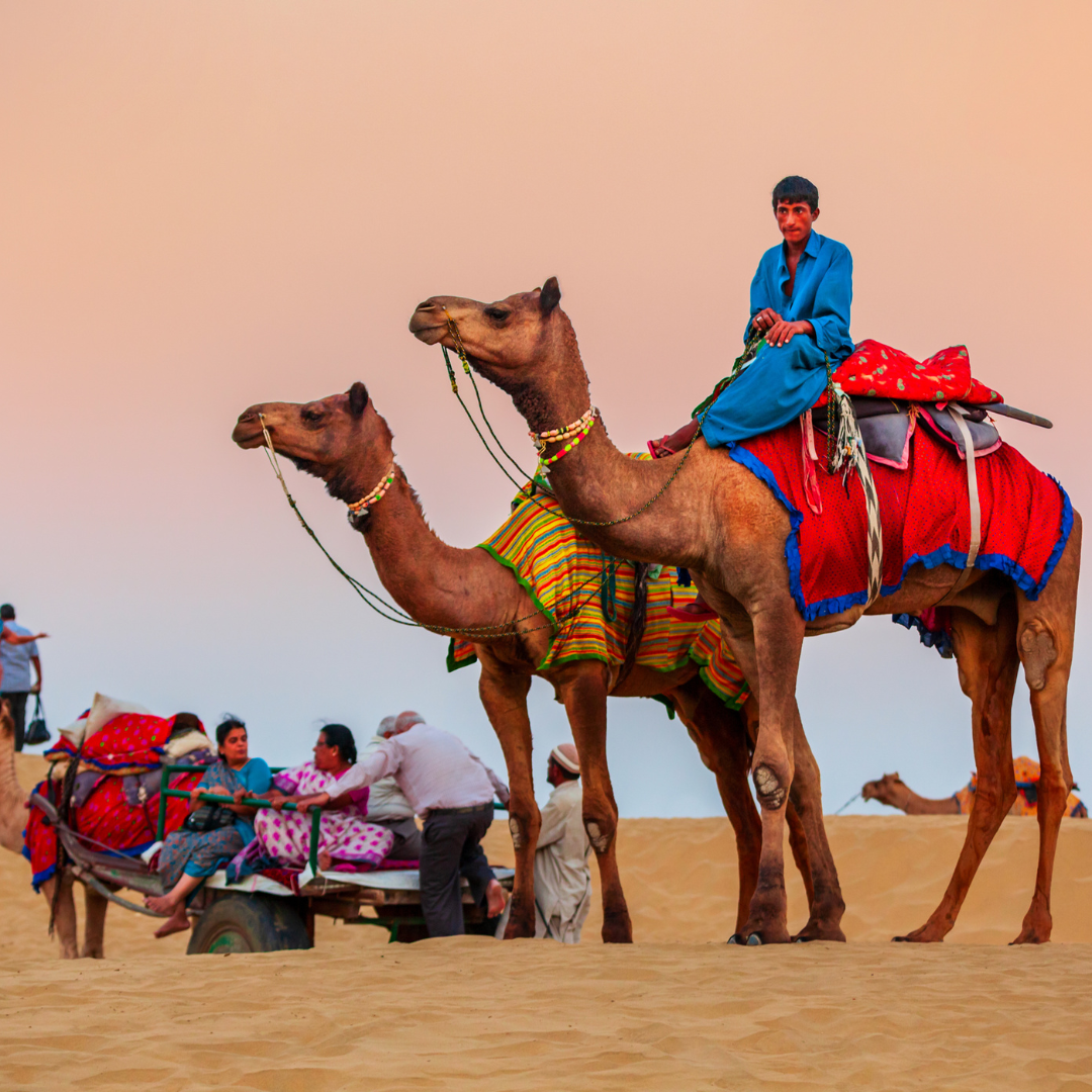 Rajasthan Thar Desert