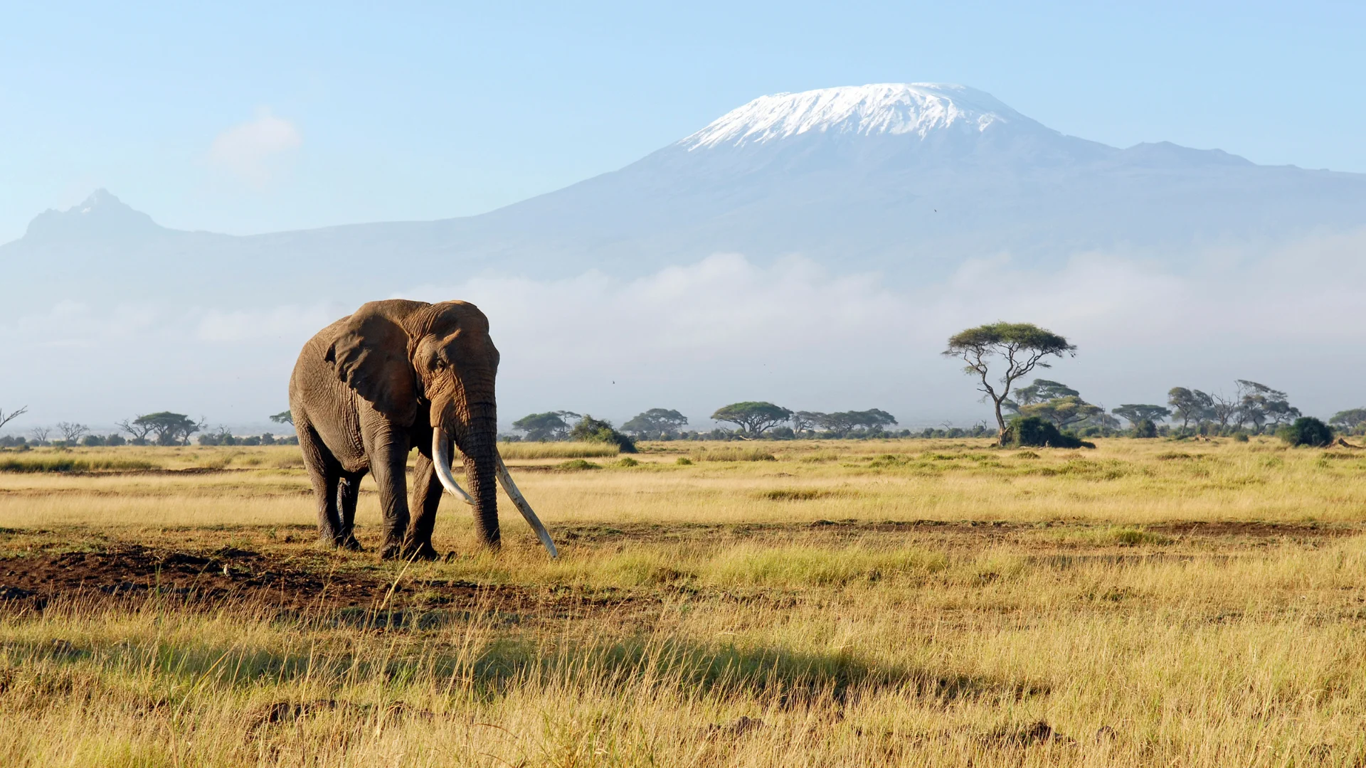 Kenya Luxury Safari: Exploring the Wild in Style