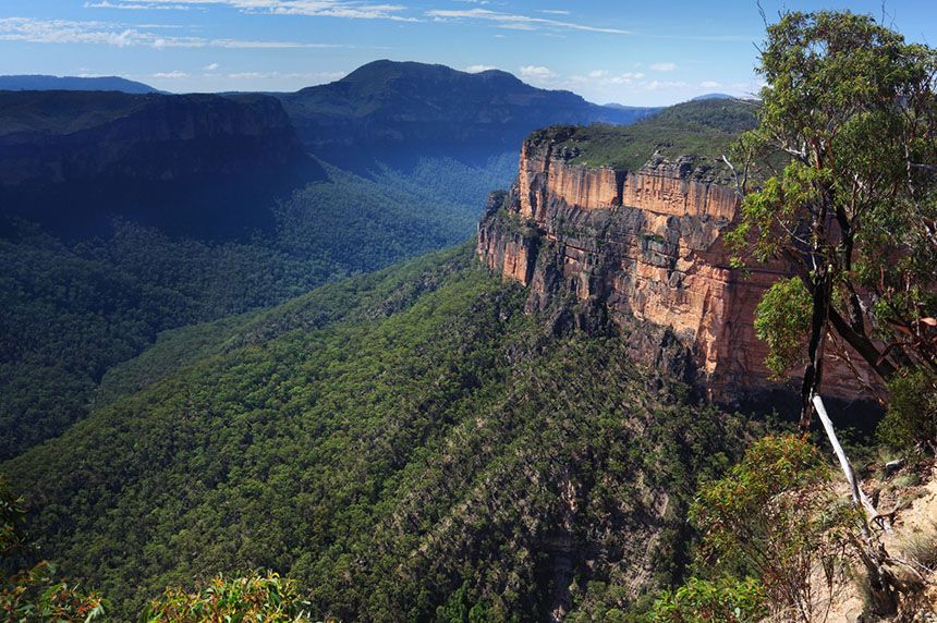 Blue Mountains Experience