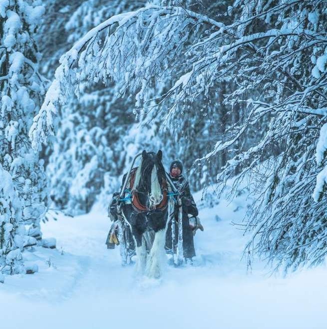 Winter Wonderland Activities