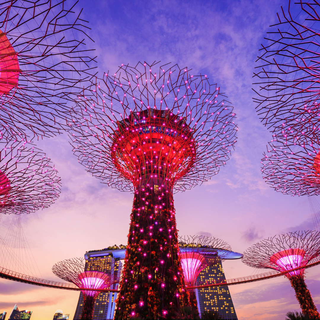 Singapore Adventure: Explore, Discover, and Unwind