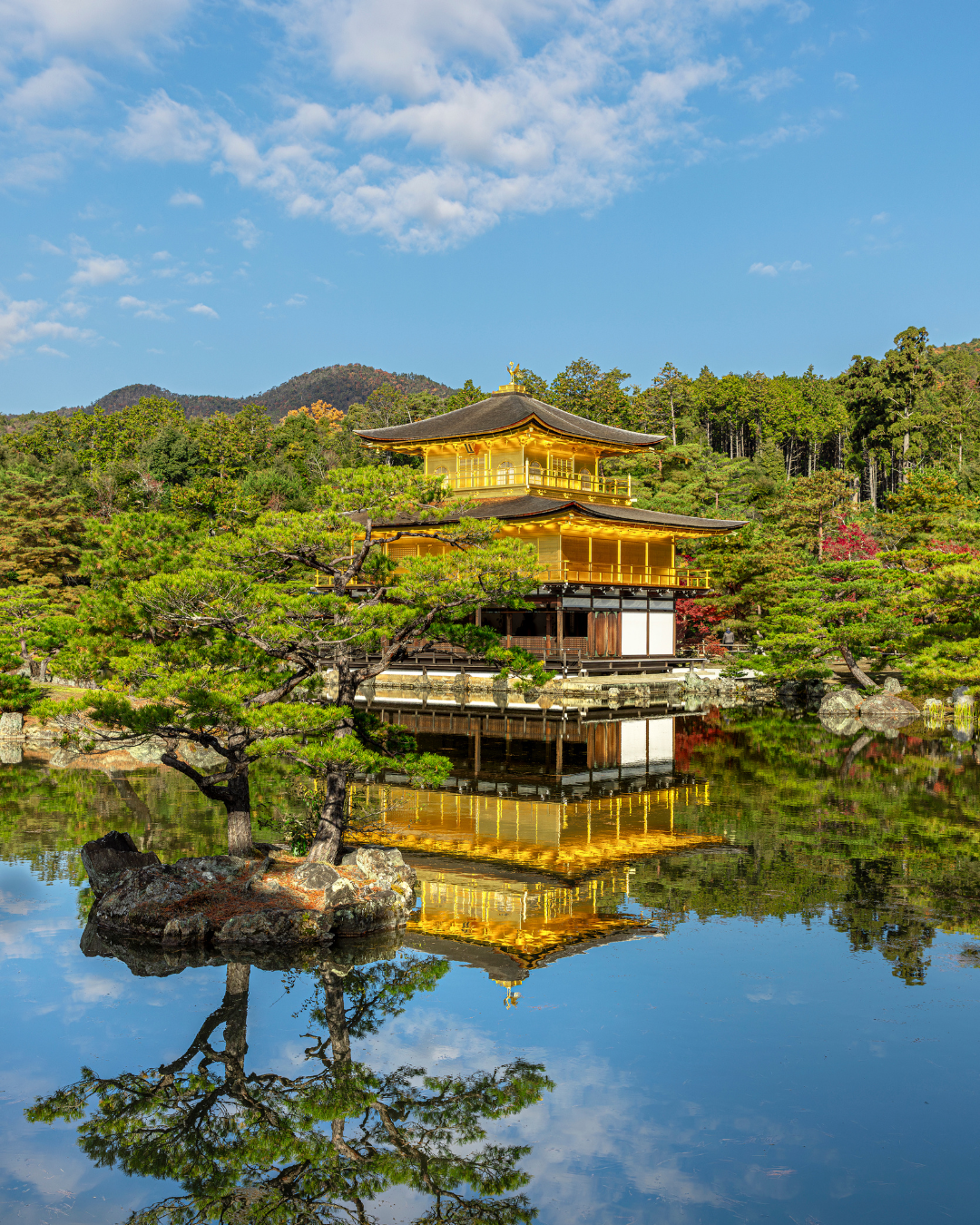  Kyoto and Nara Full-Day Tour