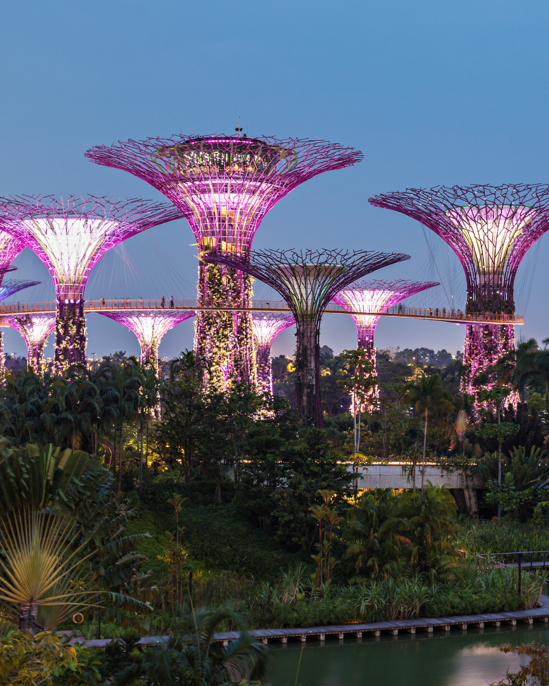  Gardens by the Bay and City Hotel Stay